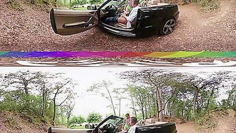 Virtual Reality Car Sex In Public